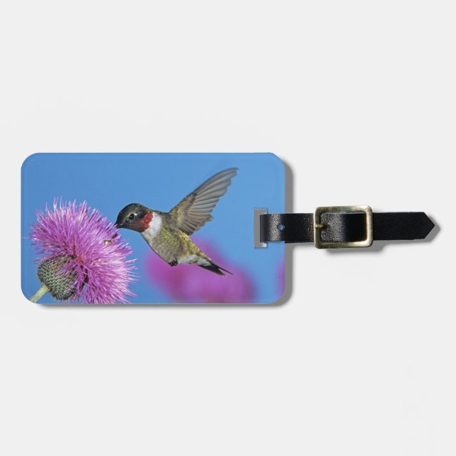 Rubinstrupekolibri Bagagebricka (Horisontell Framsida)