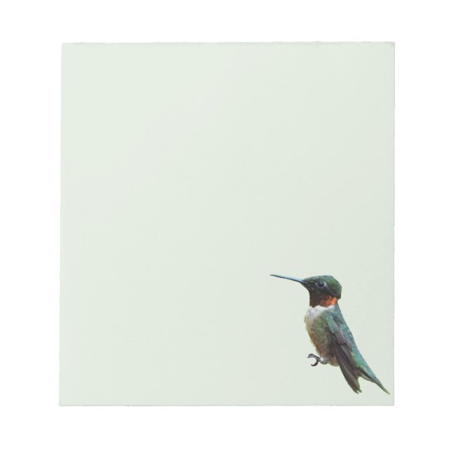 Rubinstrupekolibri Fågel fotografering Anteckningsblock (Framsida)