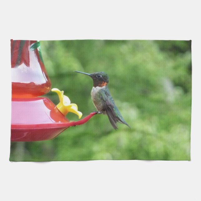 Rubinstrupekolibri Fågel fotografering Kökshandduk (Horisontell)