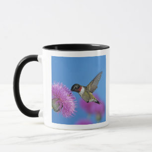 Rubinstrupekolibri Mugg