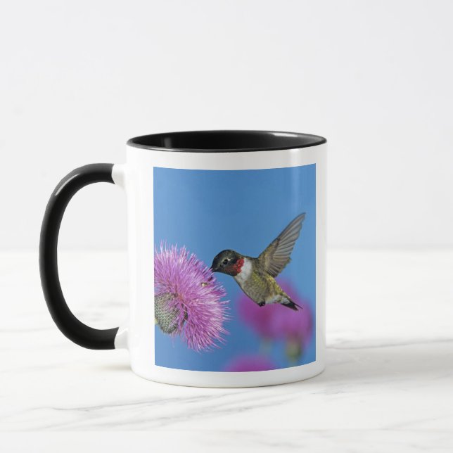 Rubinstrupekolibri Mugg (Vänster)