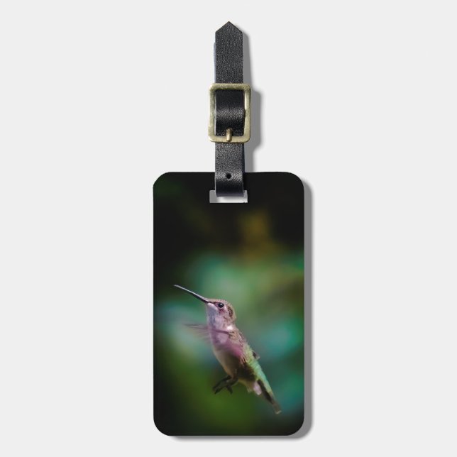 Rubinstrupekolibri - Originalfotografi Bagagebricka (Vertikal Framsida)