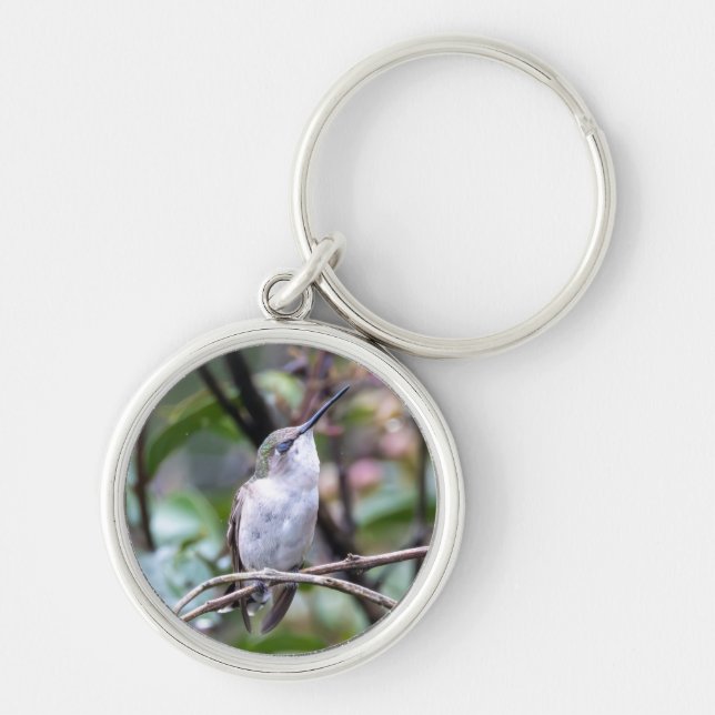 Rubinstrupekolibri  rund silverfärgad nyckelring (Framsidan)