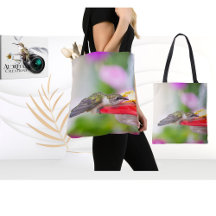 Rubinstrupekolibri