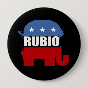 RUBIO KNAPP