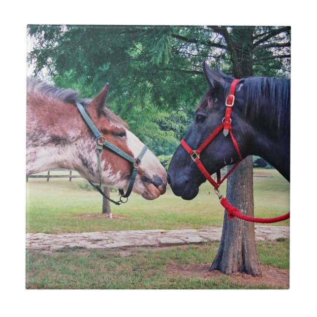 Rubrik för utkast till hästar kakelplatta (Framsidan)