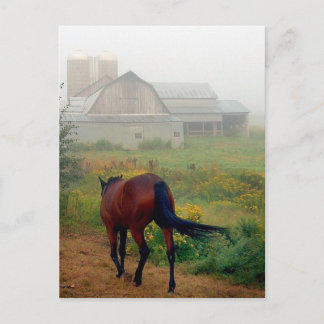 Rubrik - startsida vykort