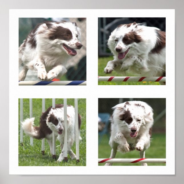 Ruby Agilitet Poster (Framsidan)