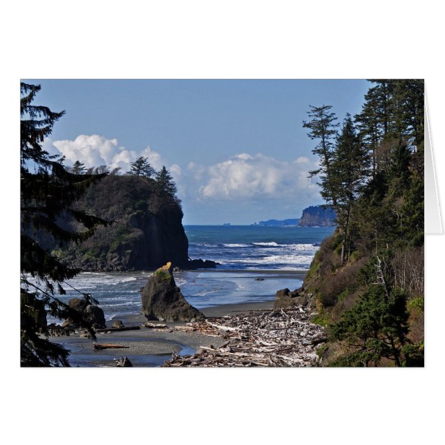 Ruby Beach på den olympiska Peninsulan, Washington Hälsningskort (Framsidan Horizontal)