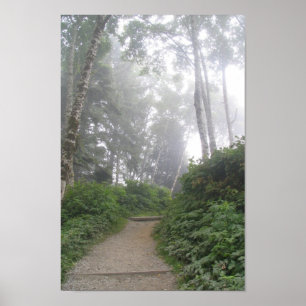 Ruby Beach, Pacific Kusten - WA Poster