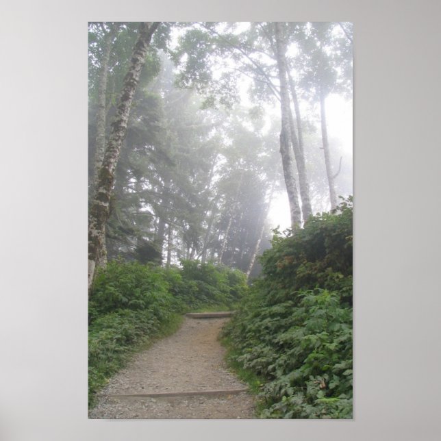 Ruby Beach, Pacific Kusten - WA Poster (Framsidan)