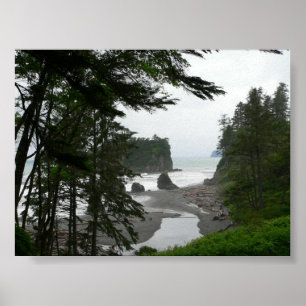 Ruby Beach Poster