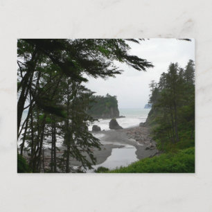 Ruby Beach-vykort Vykort