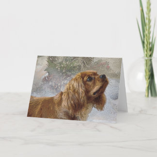 Ruby Cavalier julkort Helgkort