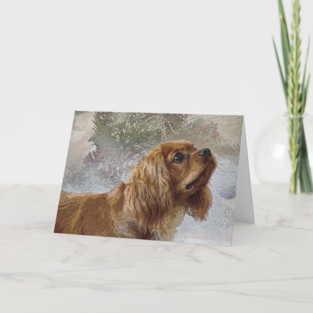 Ruby Cavalier julkort Helgkort (Framsida)