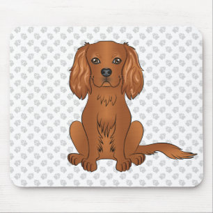 Ruby Cavalier King Charles Spaniel & Tassar Musmatta