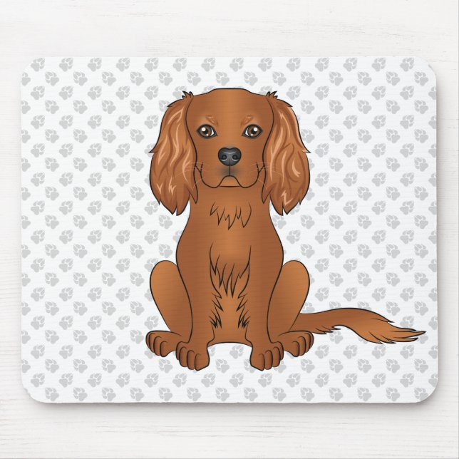 Ruby Cavalier King Charles Spaniel & Tassar Musmatta (Framsidan)