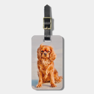 Ruby Cavalier Kung Charles Spain Hund Bagagebricka