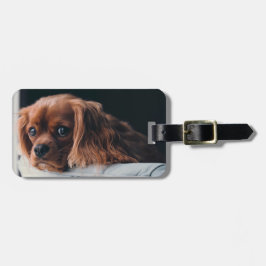 Ruby Cavalier Kung Charles Spain Hund Bagagebricka