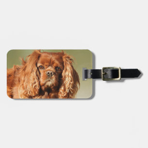 Ruby Cavalier Kung Charles Spain Hund Bagagebricka