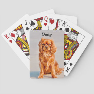 Ruby Cavalier Kung Charles Spain Hund Casinokort