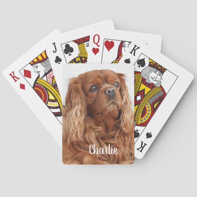 Ruby Cavalier Kung Charles Spain Hund Casinokort (Baksidan)