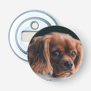 Ruby Cavalier Kung Charles Spain Hund Flasköppnare