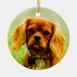 Ruby Cavalier Kung Charles Spain Hund Julgransprydnad Keramik