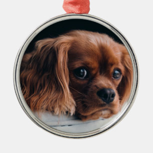Ruby Cavalier Kung Charles Spain Hund Julgransprydnad Metall