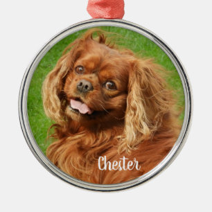 Ruby Cavalier Kung Charles Spain Hund Julgransprydnad Metall