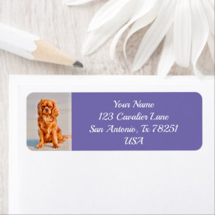 Ruby Cavalier Kung Charles Spain Hund Return Returadress Etikett