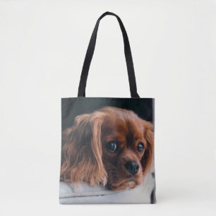 Ruby Cavalier Kung Charles Spain Hund Tygkasse