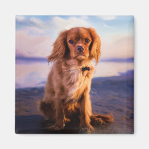 Ruby Cavalier Kung Charles Spain i solnedgången Magnet