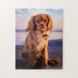 Ruby Cavalier Kung Charles Spain Puppy Hund Pussel