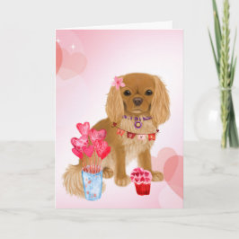 Ruby Cavalier Kung Charles Spain Valentine Kort