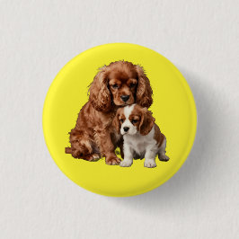 Ruby Cavalier Spaniel och hennes Blenheim-valp Knapp