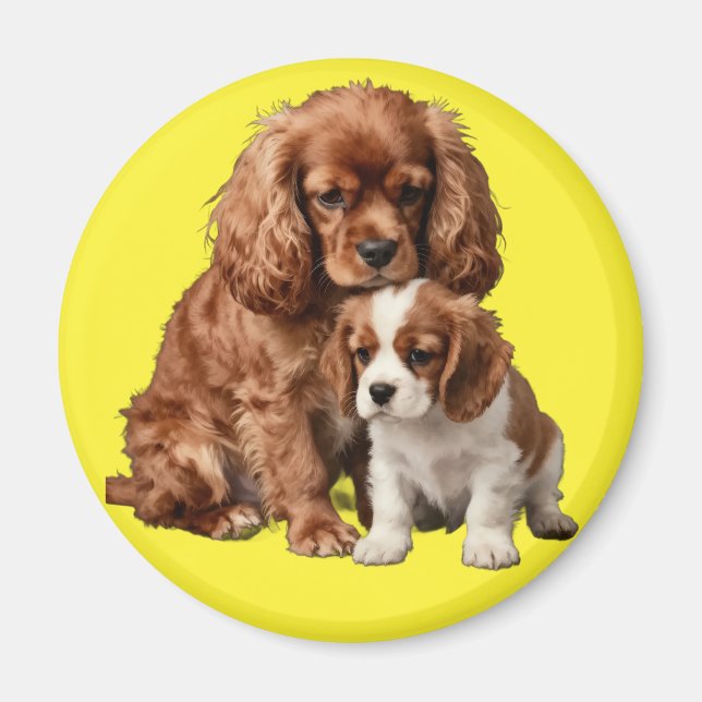 Ruby Cavalier Spaniel och hennes Blenheim-valp Magnet (Framsidan)