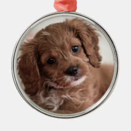 Ruby Cavapoo Puppy Hund Julgransprydnad Metall