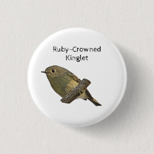 Ruby-Crowned Kinglet Knapp