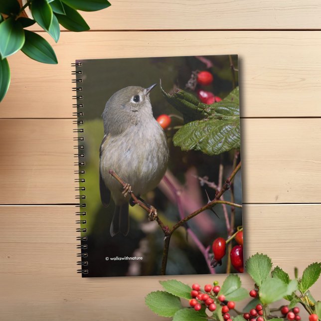 Ruby-Crowned Kinglet Songbird på Hawthorn Bush Anteckningsbok (Ruby-Crowned Kinglet in the Wild Blackberry Patch Journal Cover Photo)