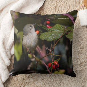 Ruby-Crowned Kinglet Songbird på Hawthorn Bush Kudde
