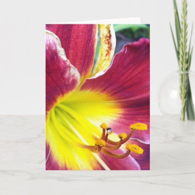 Ruby Day Lily Greeting Card Kort (Framsida)