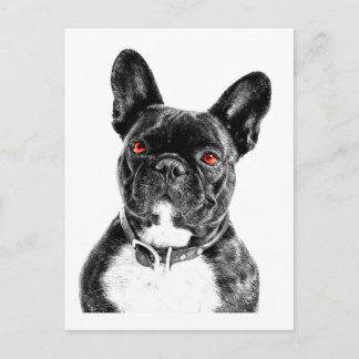 Ruby Eyed Fransk Bulldog Porträtt Vykort