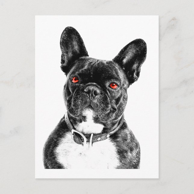 Ruby Eyed Fransk Bulldog Porträtt Vykort (Framsida)