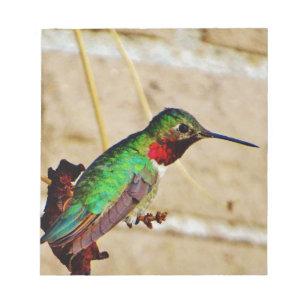 Ruby Grönt hummingbird Anteckningsblock