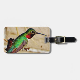 Ruby Grönt hummingbird Bagagebricka