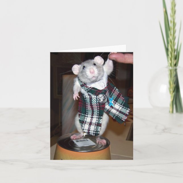 Ruby i henne Kiltkort Kort (Framsida)