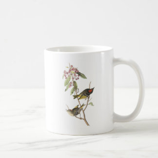 Ruby-krönad Kinglet vid Audubon Kaffemugg