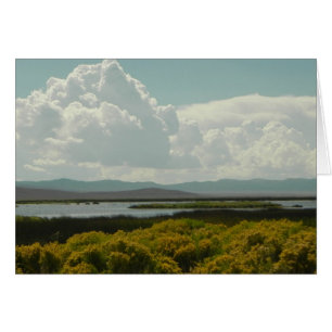 Ruby Marshes, kaninpensel OBS Kort