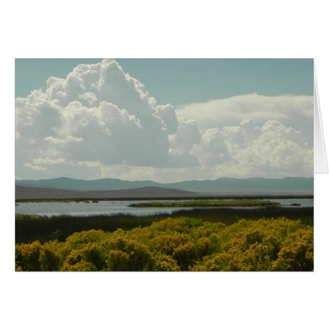 Ruby Marshes, kaninpensel OBS Kort (Framsidan Horizontal)